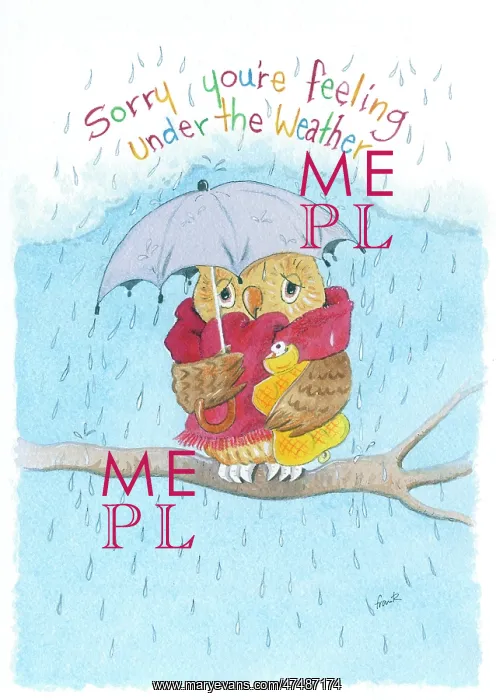  : Owl Under the Weather