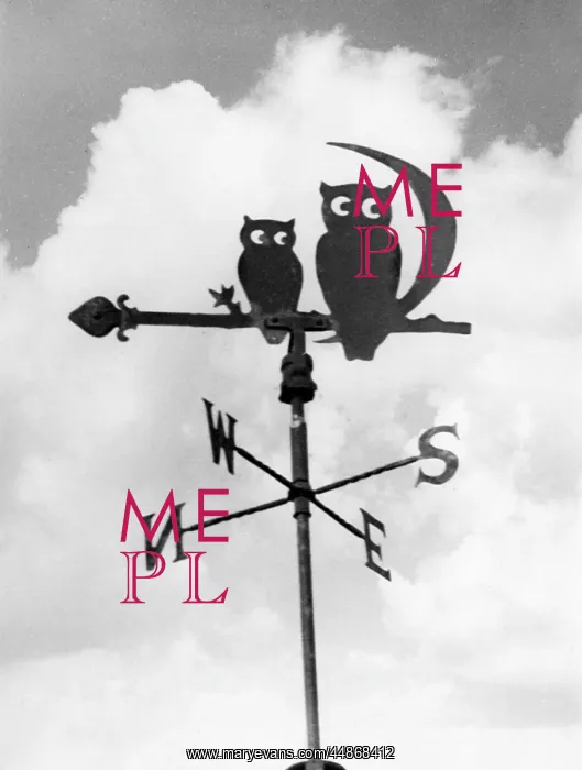 : OWL WEATHERVANE : OWL WEATHERVANE