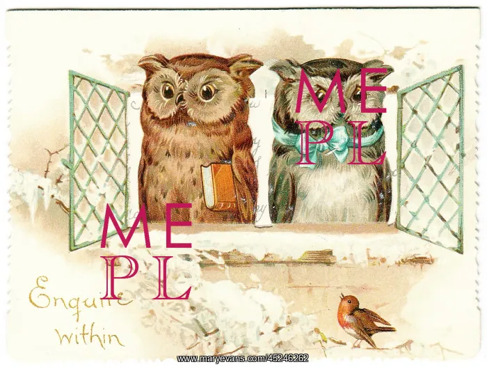 : Two owls on a Christmas card : Two owls on a Christmas card