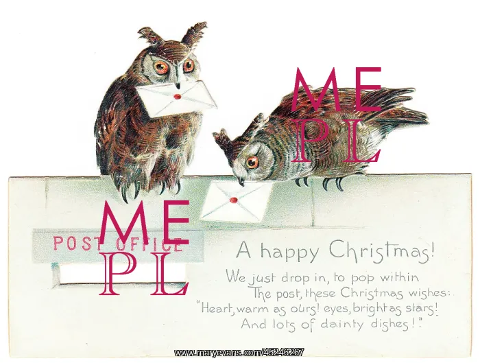 : Two owls on a Christmas card : Two owls on a Christmas card