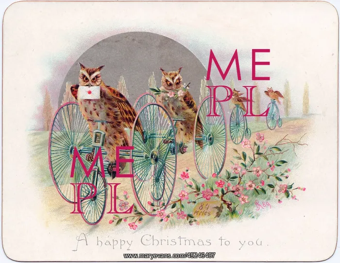 : Four owls on a Christmas card : Four owls on a Christmas card