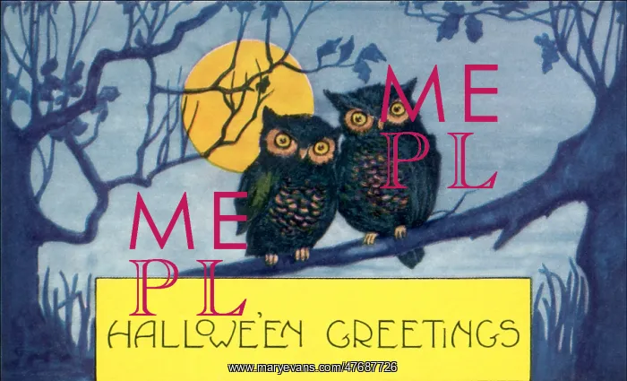 : Owls in Moonlight : Owls in Moonlight