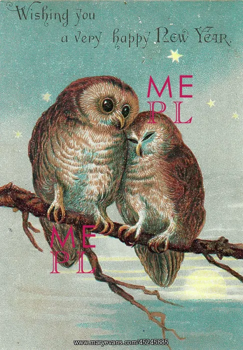 : Two owls on a New Year card : Two owls on a New Year card