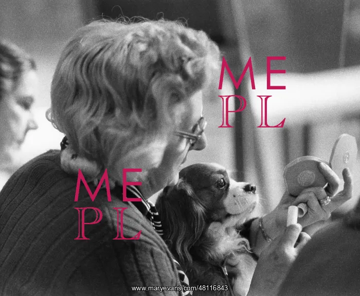 : Owner and dog at the Manchester Dog Show : Owner and dog at the Manchester Dog Show