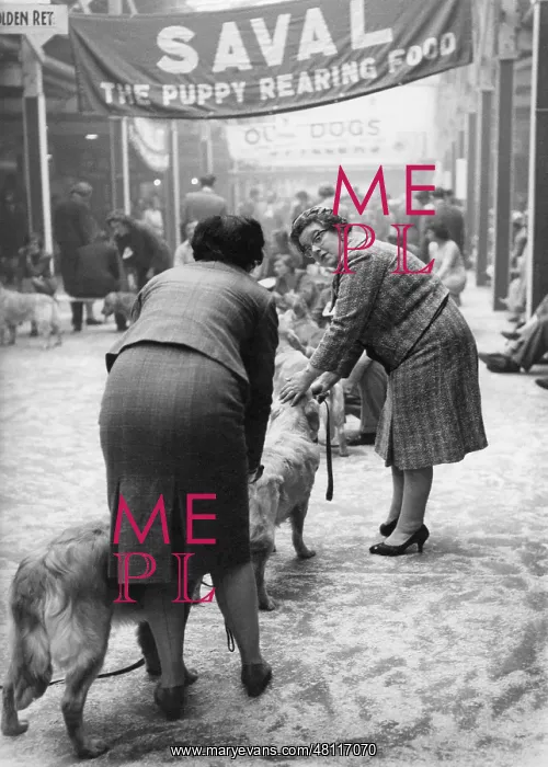 : Owners and their dogs at a dog show : Owners and their dogs at a dog show