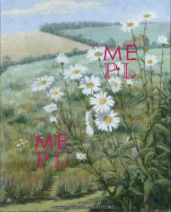 : Ox-eye Daisies in a Landscape : Ox-eye Daisies in a Landscape