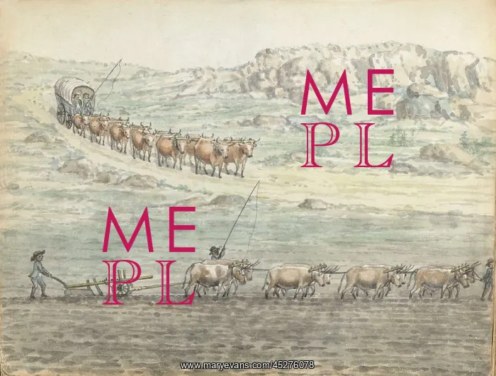 : Ox-Span for Covered Wagon and Plow : Ox-Span for Covered Wagon and Plow