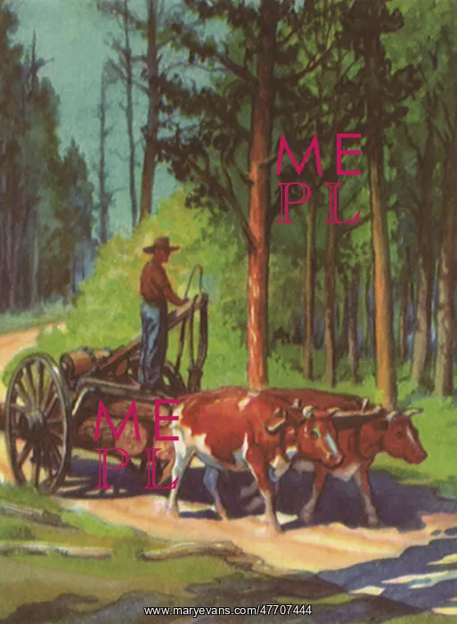  : Oxen Hauling Lumber
