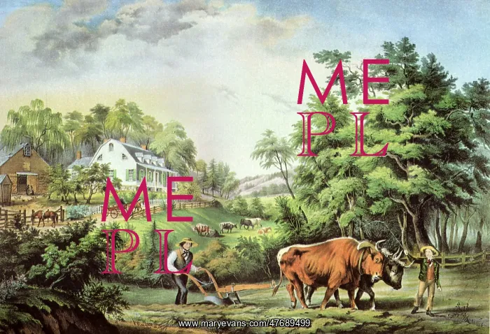  : Oxen Plowing Fields