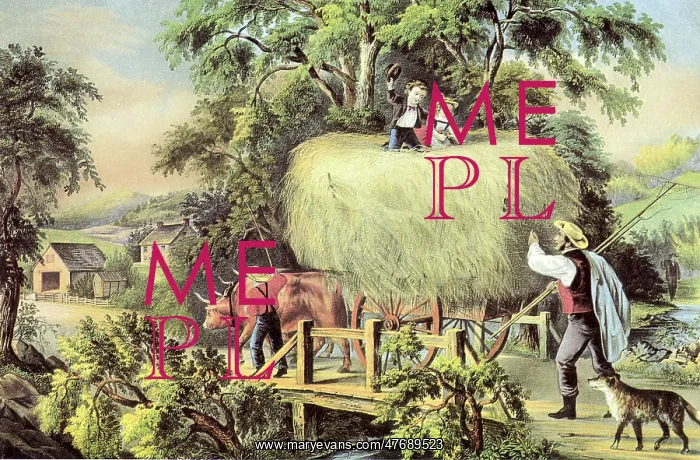  : Oxen Pulling Hayride