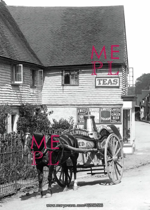 : Oxted, Milk Cart 1908 : Oxted, Milk Cart 1908