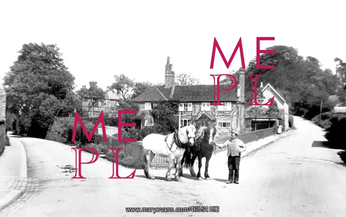  : Oxted, Town Farm Corner 1908