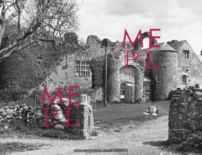 : OXWICH CASTLE : OXWICH CASTLE