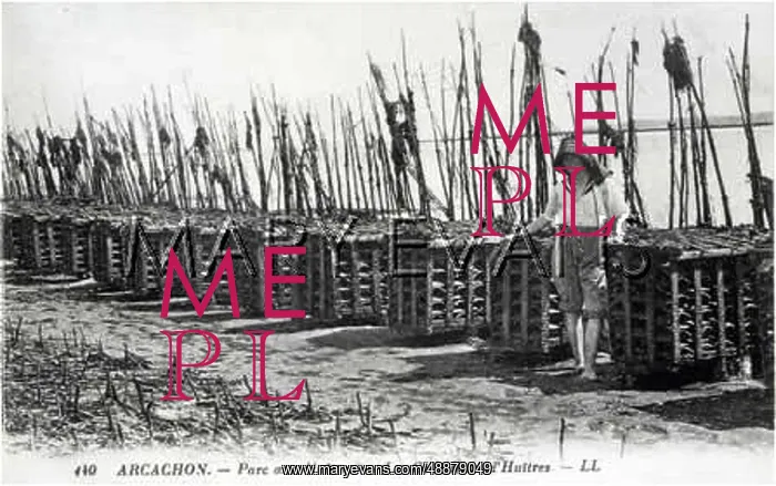  : OYSTER BEDS, ARCACHON