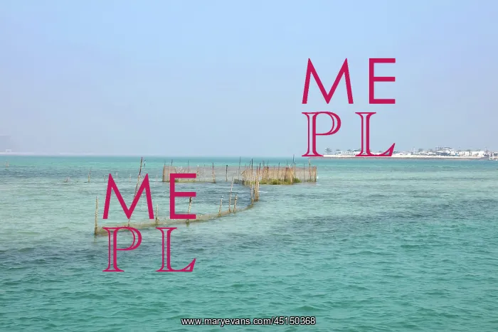 : Oyster beds, Bahrain : Oyster beds, Bahrain