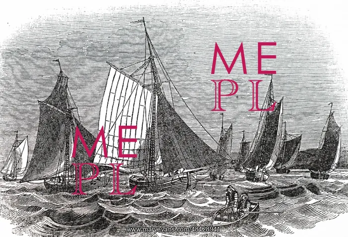  : An oyster fleet at work