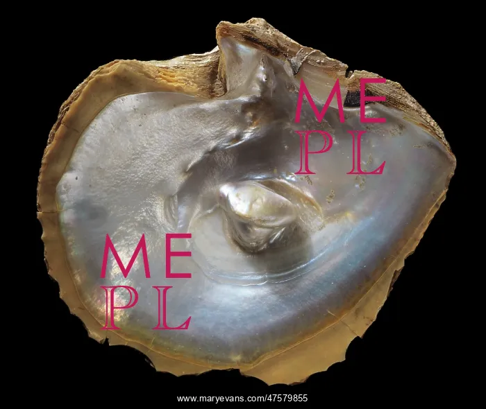 : Oyster shell with pearl : Oyster shell with pearl