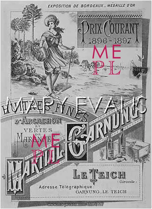 : OYSTERS FROM ARCACHON : OYSTERS FROM ARCACHON