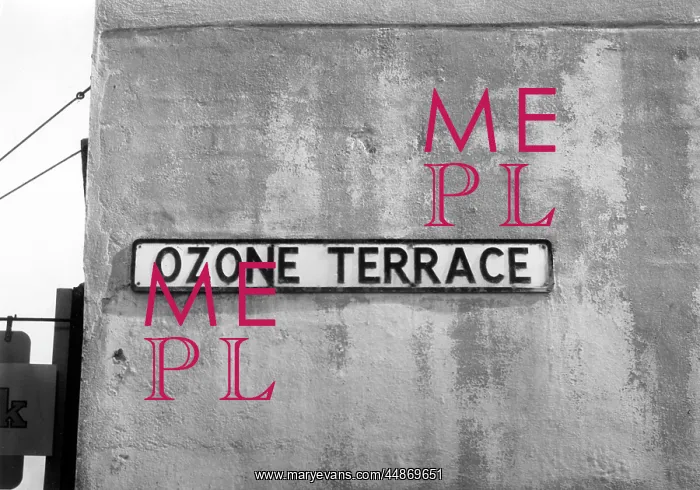 : OZONE TERRACE : OZONE TERRACE