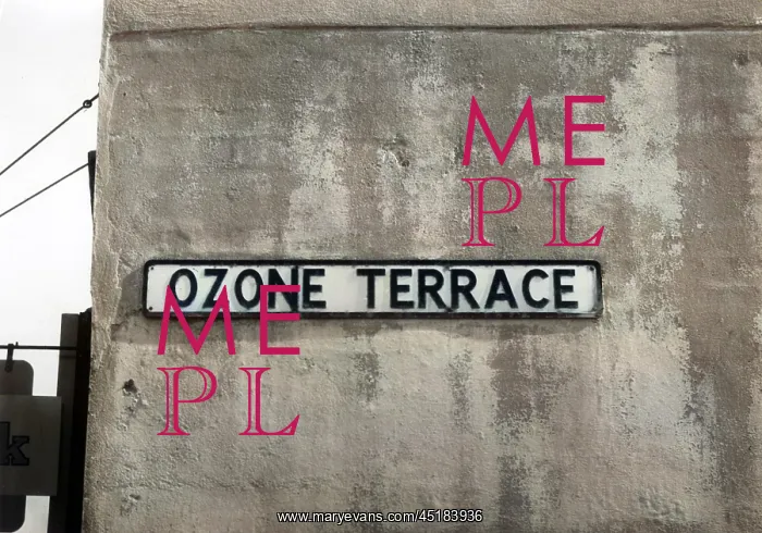 : OZONE TERRACE : OZONE TERRACE
