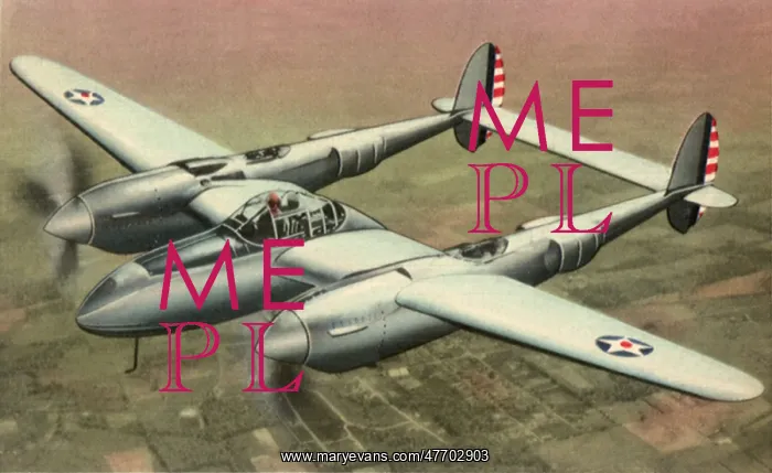 : P-38 Interceptor Plane : P-38 Interceptor Plane