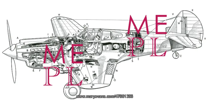 : P-40 Tomahawk IIB : P-40 Tomahawk IIB