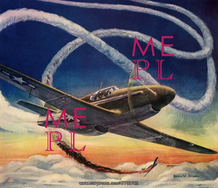 : P-51 Mustang Victory : P-51 Mustang Victory