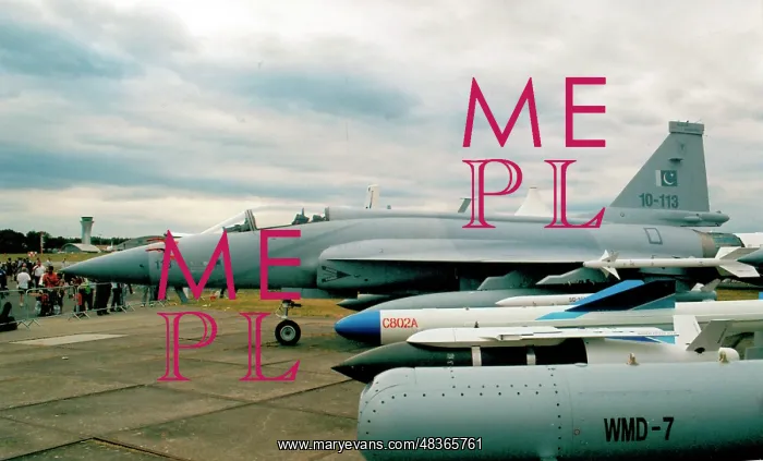 : PAC - CAC JF-17 Thunder 10-113 : PAC - CAC JF-17 Thunder 10-113