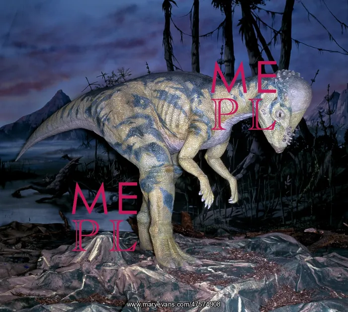 : Pachycephalosaurus : Pachycephalosaurus