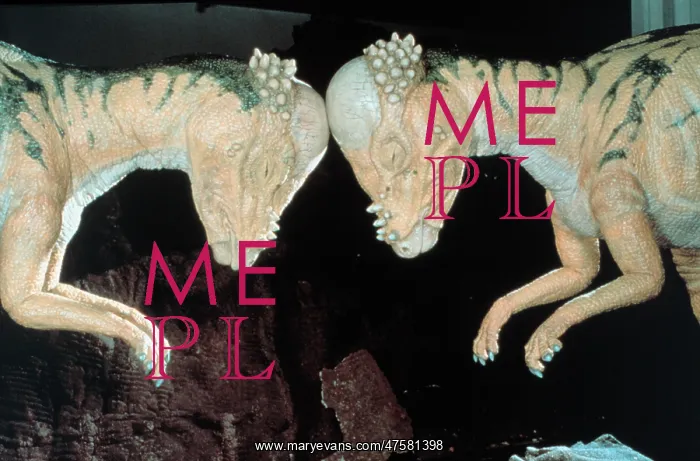 : Pachycephalosaurus : Pachycephalosaurus