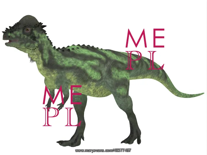 : Pachycephalosaurus, a biped dinosaur from the Cretaceous ? : Pachycephalosaurus, a biped dinosaur from the Cretaceous ?