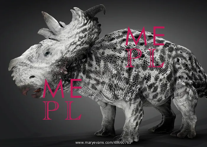 : Pachyrhinosaur dinosaur, side view on gray background : Pachyrhinosaur dinosaur, side view on gray background