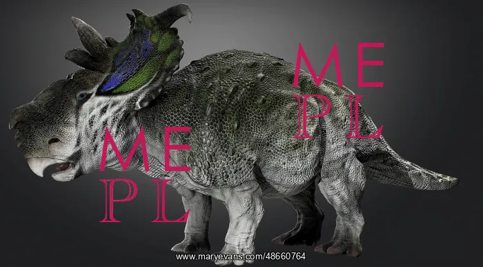 : Pachyrhinosaur dinosaur, side view on gray background : Pachyrhinosaur dinosaur, side view on gray background