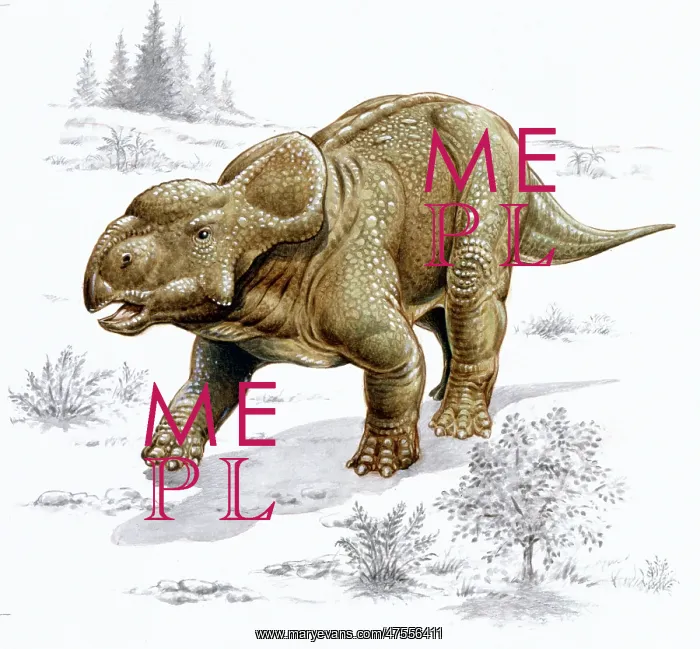 : Pachyrhinosaurus : Pachyrhinosaurus
