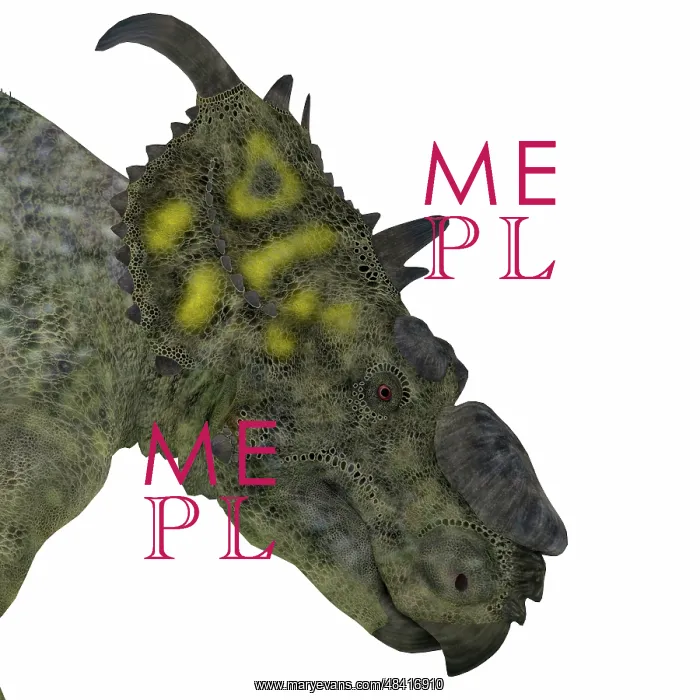 : Pachyrhinosaurus dinosaur head : Pachyrhinosaurus dinosaur head