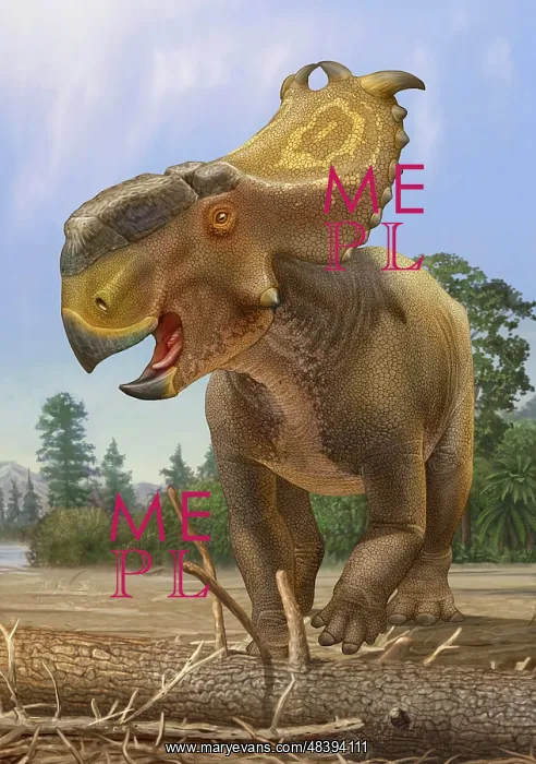 : Pachyrhinosaurus dinosaur stays alert for approaching danger : Pachyrhinosaurus dinosaur stays alert for approaching danger