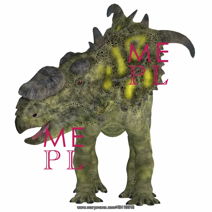 : Pachyrhinosaurus dinosaur, front view : Pachyrhinosaurus dinosaur, front view