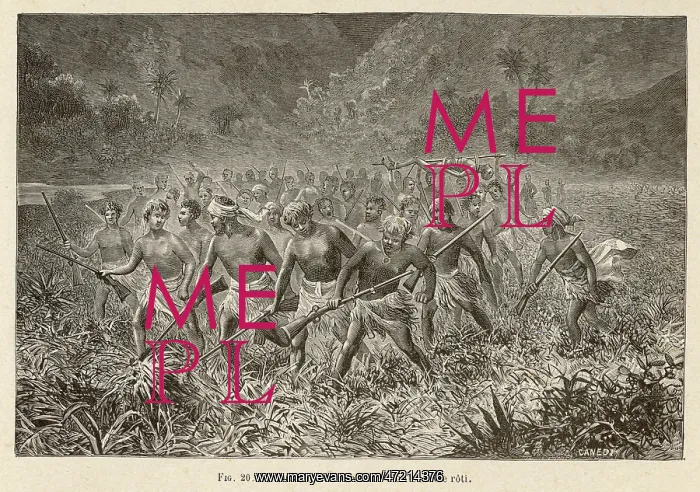 : PACIFIC CANNIBALS : PACIFIC CANNIBALS