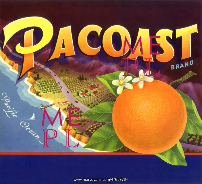  : Pacific Coast