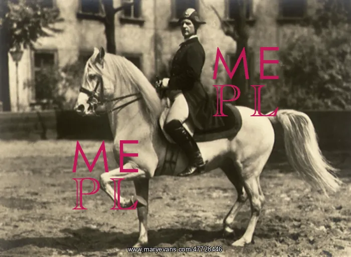  : Pacing the Horse