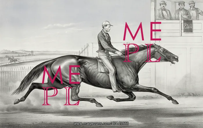 : Pacing horse Billy Boyce of St. Louis: as he appeared at Buf : Pacing horse Billy Boyce of St. Louis: as he appeared at Buf