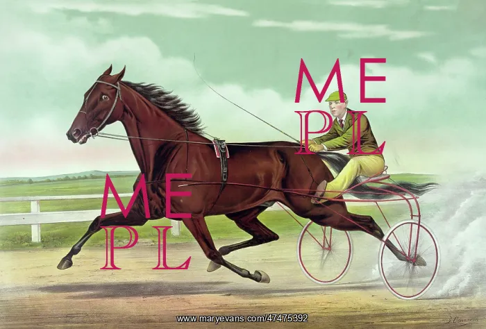 : Pacing king Robert J. record 2:01 1 / 2 : Pacing king Robert J. record 2:01 1 / 2