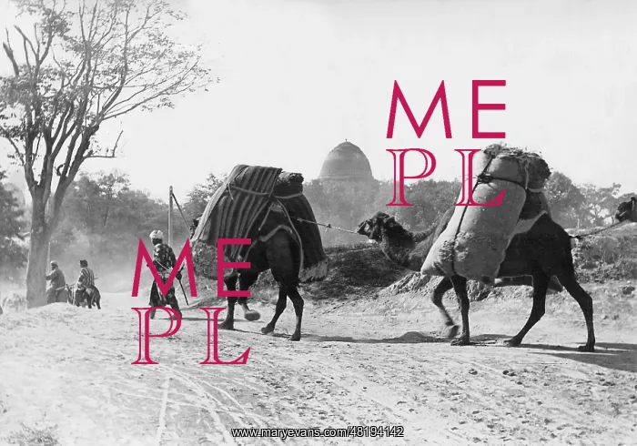 : Pack animals, 1938 : Pack animals, 1938