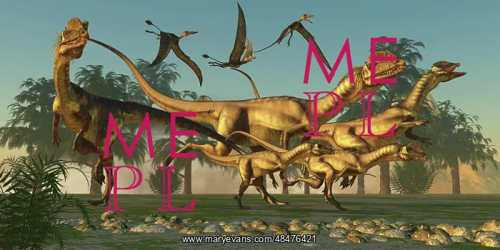 : A pack of Dilophosaurus dinosaurs hunting for prey : A pack of Dilophosaurus dinosaurs hunting for prey