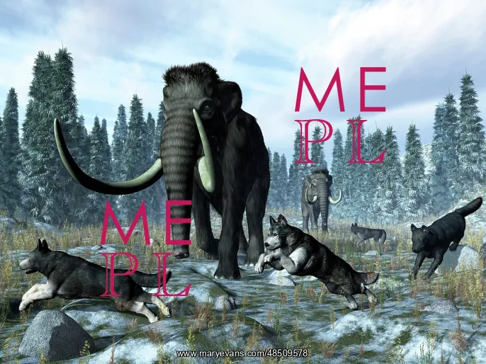 : A pack of dire wolves crosses paths with two mammoths ? : A pack of dire wolves crosses paths with two mammoths ?