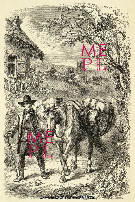 : PACK HORSE, DEVONSHIRE : PACK HORSE, DEVONSHIRE