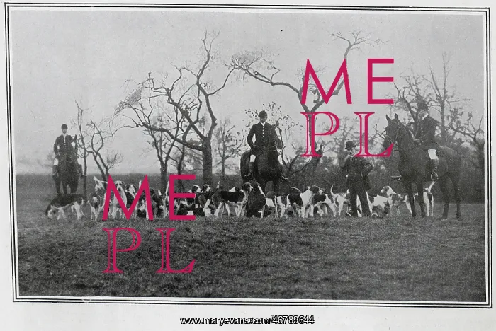  : The pack at the Quorn Hunt