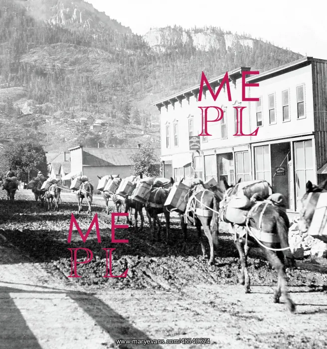 : Pack Train, 1905 : Pack Train, 1905