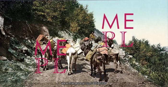 : Pack Train On Mountain Road : Pack Train On Mountain Road