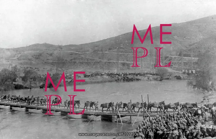 : Pack train in Serbia, 1916 : Pack train in Serbia, 1916